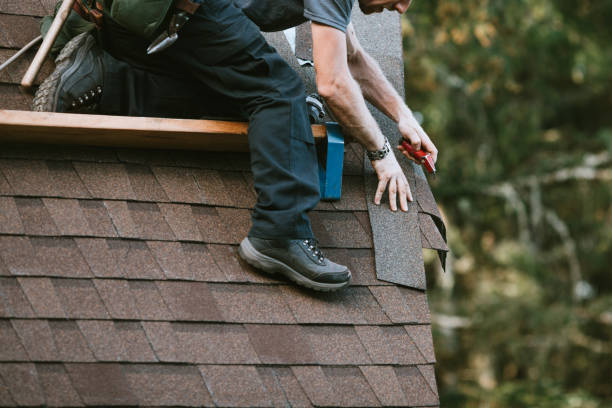 Best Metal Roofing Contractor  in North Shore, CA